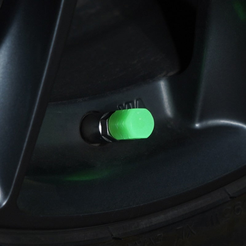 Pack de Valves lumineuses de nuit